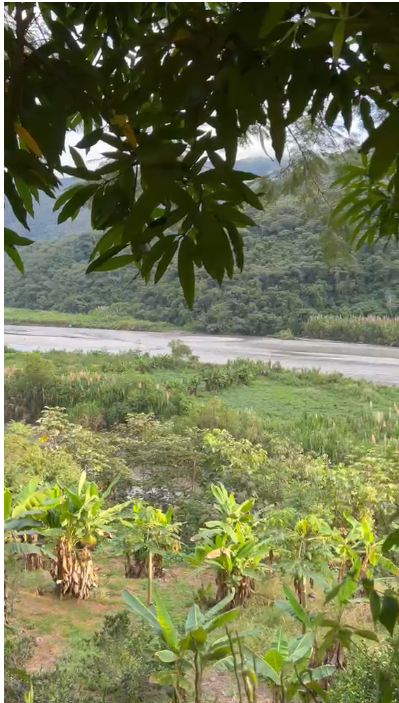 River valley with banana trees and jungle hills