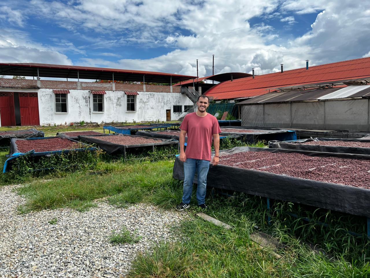 Cocoa drying yard in San Martín