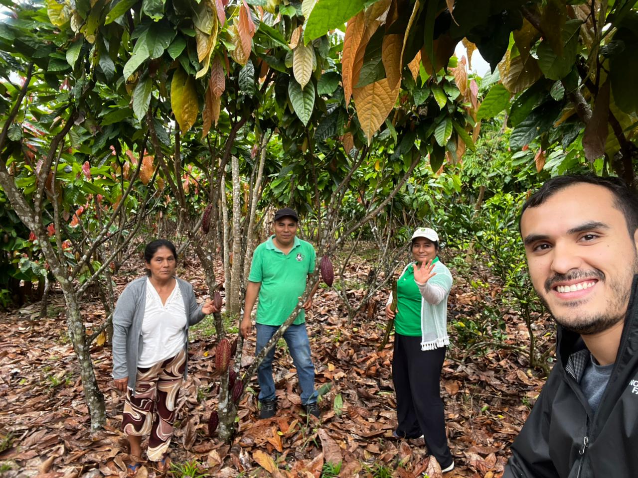 Farmers among cocoa trees