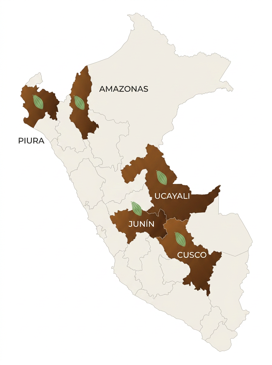Mapa del Perú con las regiones donde Natcore tiene presencia de proveedores de cacao
